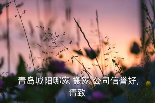  青岛城阳哪家 搬家 公司信誉好,请致