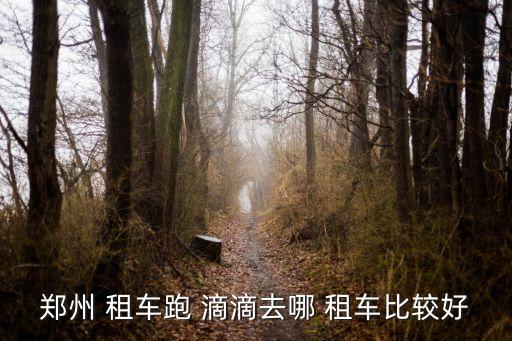 滴滴网约车租车公司,郑州网约车租车哪个平台比较好?