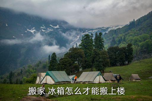 冰箱怎么搬家最方便,怎么运输冰箱?注意事项