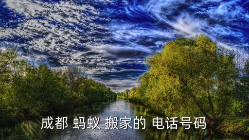 长沙蚂蚁搬家电话号是多少,杭州搬家哪些公司搬家比较好?