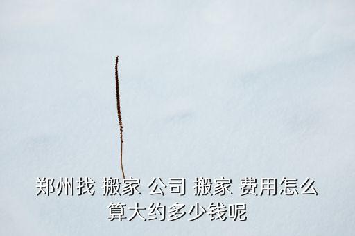 郑州找 搬家 公司 搬家 费用怎么算大约多少钱呢