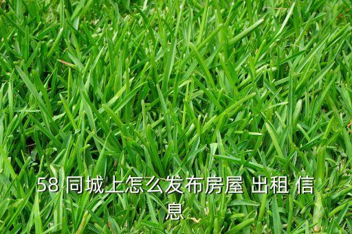 58同城个人房出租信息,发布租房信息需要经过五步骤