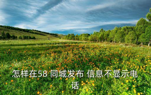58同城电话号码看不到信息,为什么看不到信息?