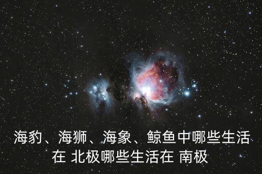  海豹、海狮、海象、鲸鱼中哪些生活在 北极哪些生活在 南极