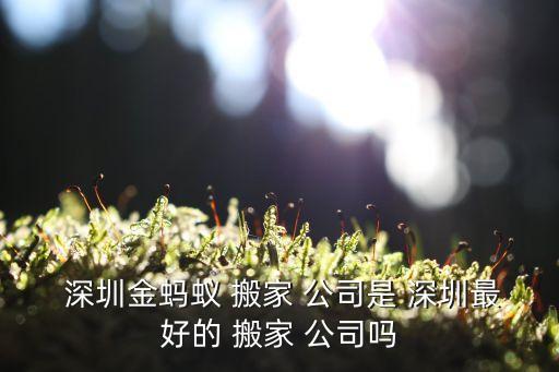  深圳金蚂蚁 搬家 公司是 深圳最好的 搬家 公司吗