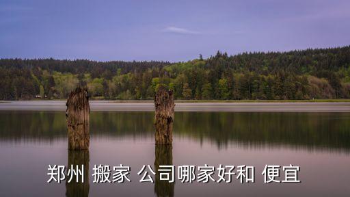 搬家公司哪家又便宜又好呢,郑州蚂蚁搬家-2/怎么找?