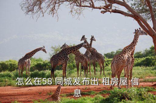 58同城租房厂房出租信息,租房须知关于租房