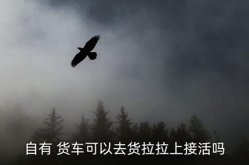 本地私人小货车拉货搬家,货拉拉货运服务从何而来?