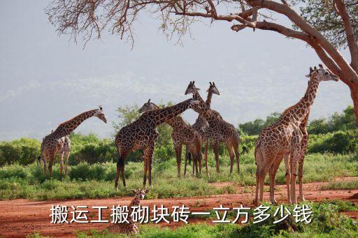  搬运工搬砌块砖一立方多少钱