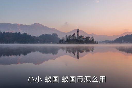  小小 蚁国 蚁国币怎么用
