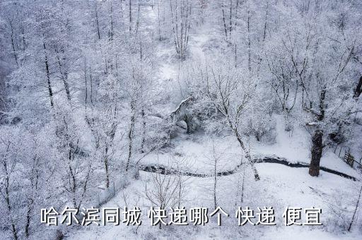同城发快递哪个便宜,快递费用从轻到重依次为中通、顺丰、童渊