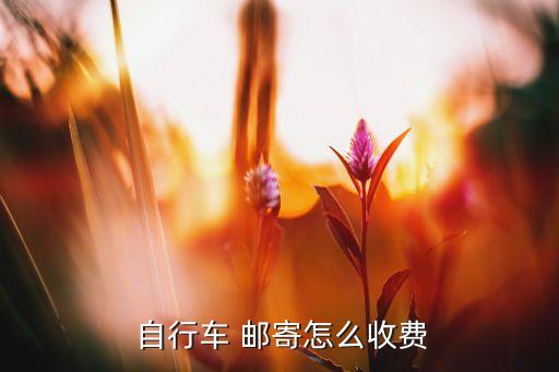  自行车 邮寄怎么收费