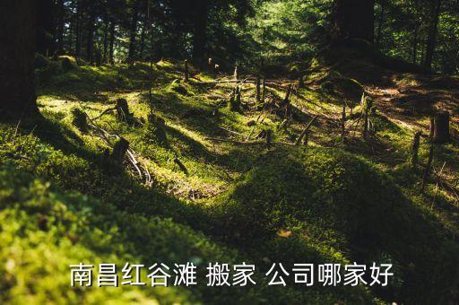  南昌红谷滩 搬家 公司哪家好