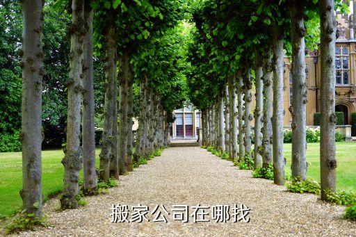  搬家公司在哪找