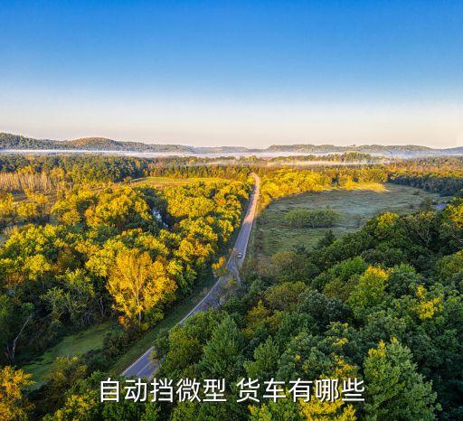 自动挡微型 货车有哪些