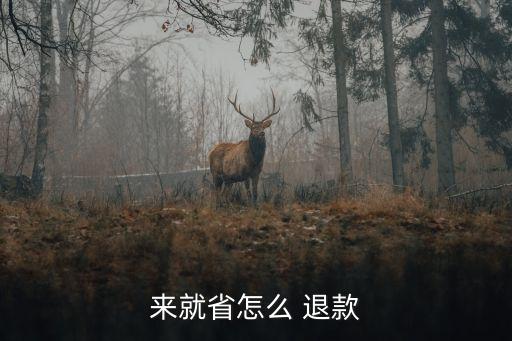 省好多怎么退款,浩盛多加油平台退款方法:点击订单退款