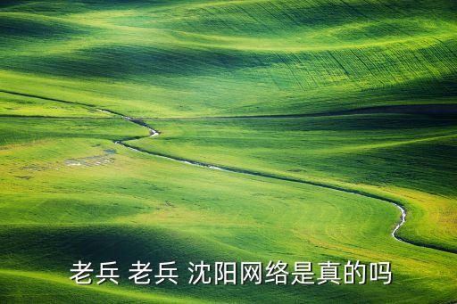  老兵 老兵 沈阳网络是真的吗