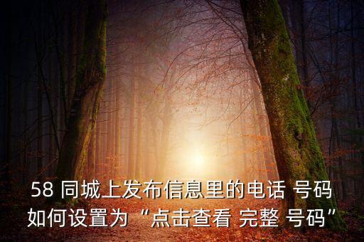 58 同城上发布信息里的电话 号码如何设置为“点击查看 完整 号码”