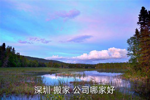 深圳 搬家 公司哪家好