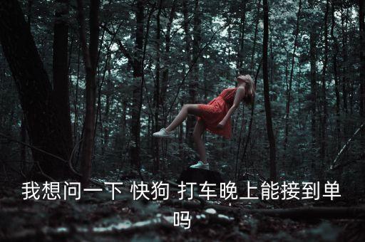 我想问一下 快狗 打车晚上能接到单吗