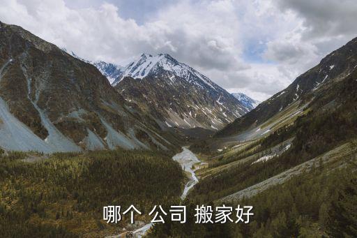 哪个 公司 搬家好