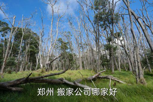  郑州 搬家公司哪家好