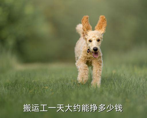 搬家工人好干吗,搬运工如何找工作?