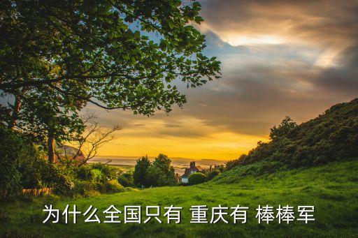 重庆棒棒军的由来,韩国男子用棍子和隋军打架最后全军覆没
