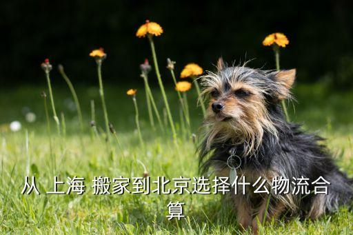 上海日式搬家公司,如何选择正规搬家公司?