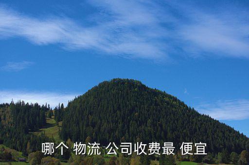 物流公司哪个最便宜,快递站优点多注意事项
