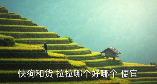 在哪里叫货拉拉比较便宜,货拉拉推出无忧搬家套餐