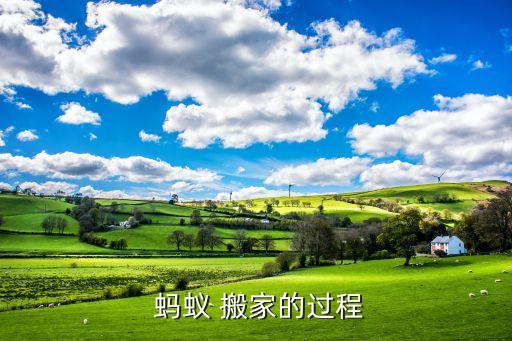  蚂蚁 搬家的过程
