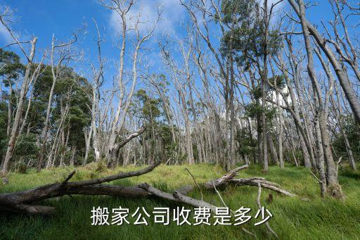 无忧搬家多少钱,搬家公司收取的费用通常包括车费和手续费