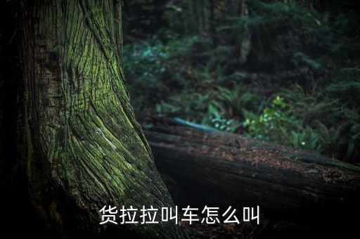 虎门搬运,虎门峡谷门票1.2m以下儿童免费或有成人陪同