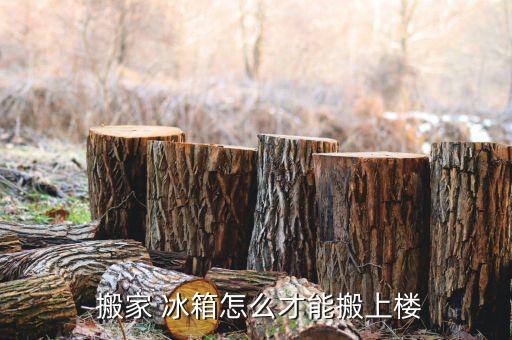  搬家 冰箱怎么才能搬上楼
