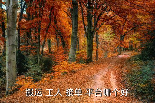 搬运 工人 接单 平台哪个好