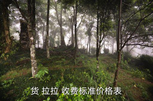 货拉拉搬家公司收费价目表,商品拉拉-3/标准查看方式（一）