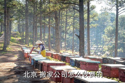  北京 搬家公司怎么收费的