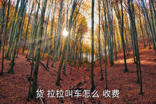 货拉拉搬家收费标准2020年,货拉拉收费标准查看方法（一）