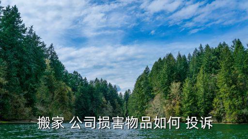  搬家 公司损害物品如何 投诉