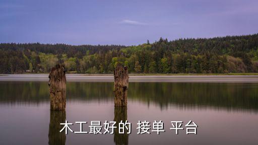 网上接单干活的平台,鱼泡网简化招聘程序农民工上网找工作方便
