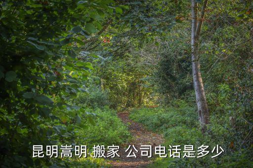 昆明搬家公司热线,选择正规搬家公司网上查询信息和资讯