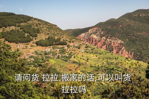 请问货 拉拉 搬家的话,可以叫货 拉拉吗