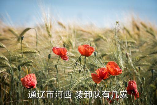 通辽市河西 装卸队有几家