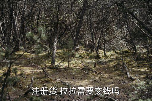 注册货 拉拉需要交钱吗