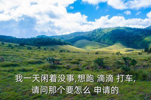 我一天闲着没事,想跑 滴滴 打车,请问那个要怎么 申请的