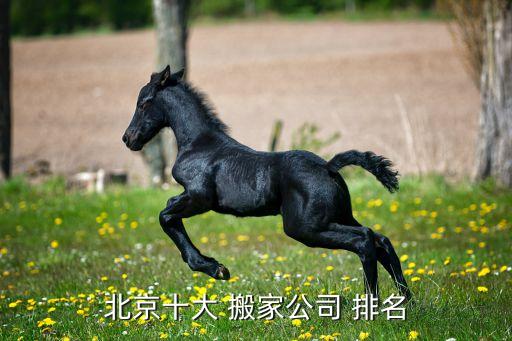 抚顺市望花区搬家公司排名前十,杭州十家搬家公司排名出炉