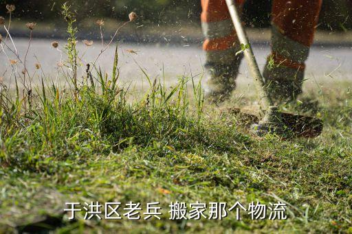 于洪区老兵 搬家那个物流