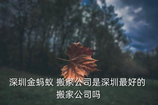 深圳金蚂蚁 搬家公司是深圳最好的 搬家公司吗