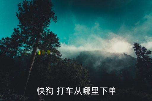  快狗 打车从哪里下单